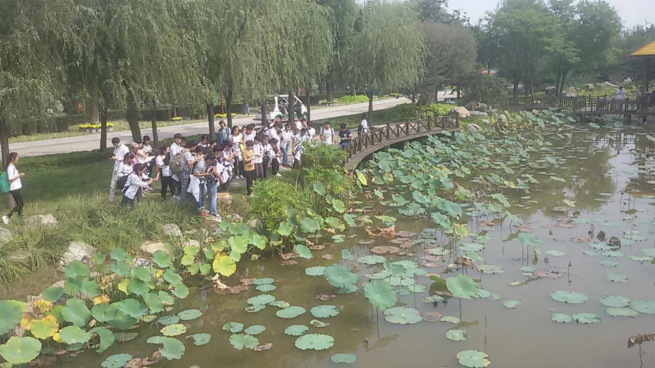 图四 学生在花博园进行园林植物实习